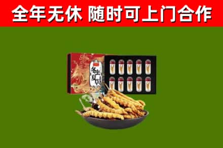 冷水滩区回收冬虫夏草价格