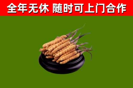 冷水滩区烟酒回收冬虫夏草.jpg