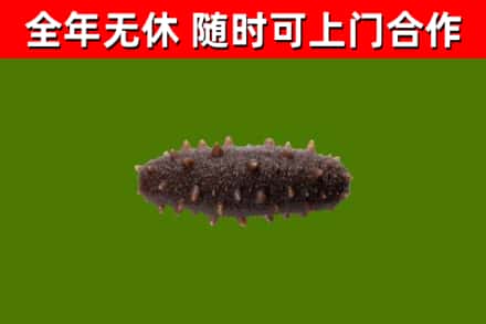 冷水滩区烟酒回收干海参.jpg